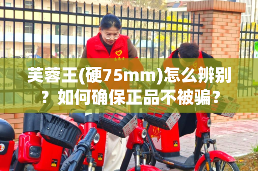 芙蓉王(硬75mm)怎么辨别？如何确保正品不被骗？